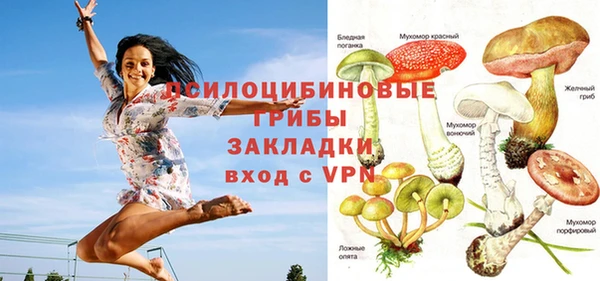 кокс Белокуриха